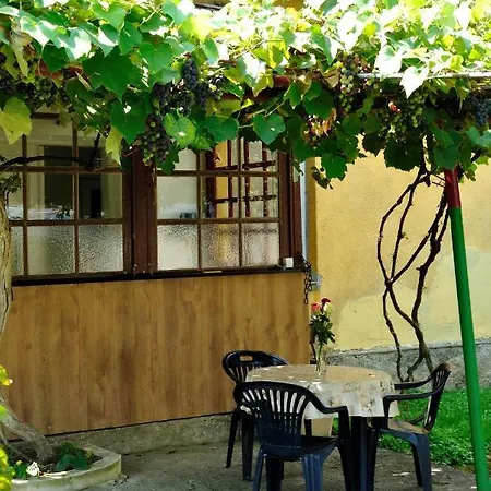 City Garden